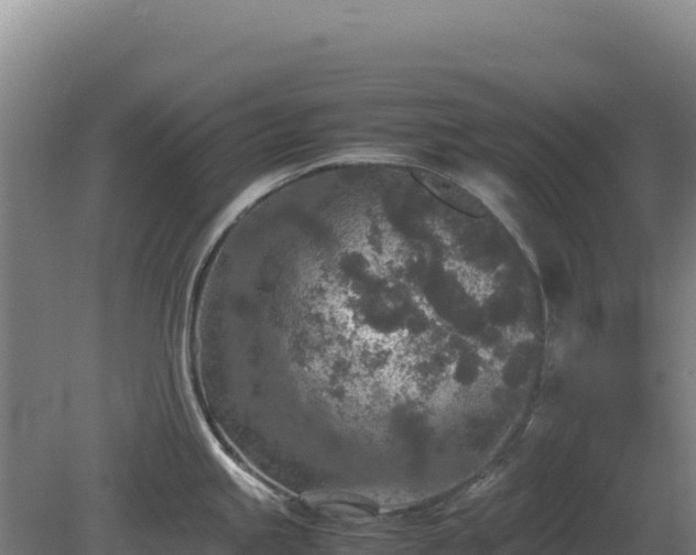 X0000081451245200701191705