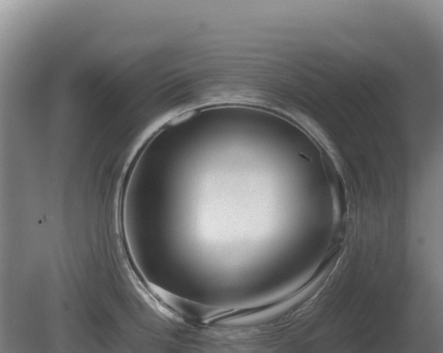 X0000081451246200701191705