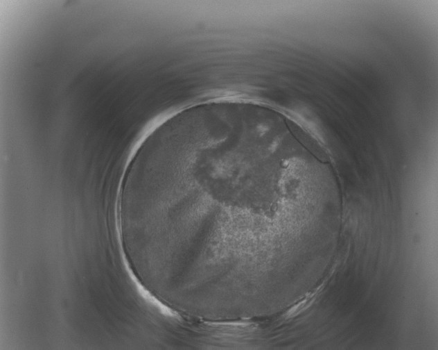 X0000081451247200701191705