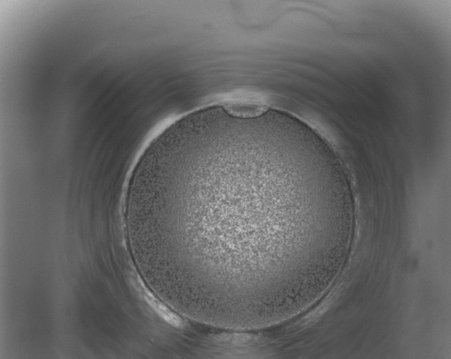 X0000081451248200701191705