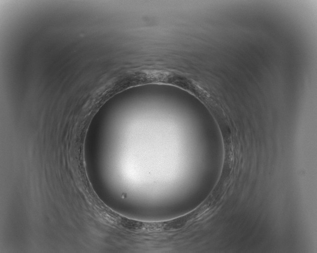 X0000081451249200701191705