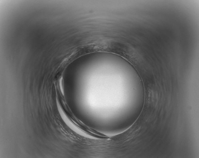 X0000081451250200701191705