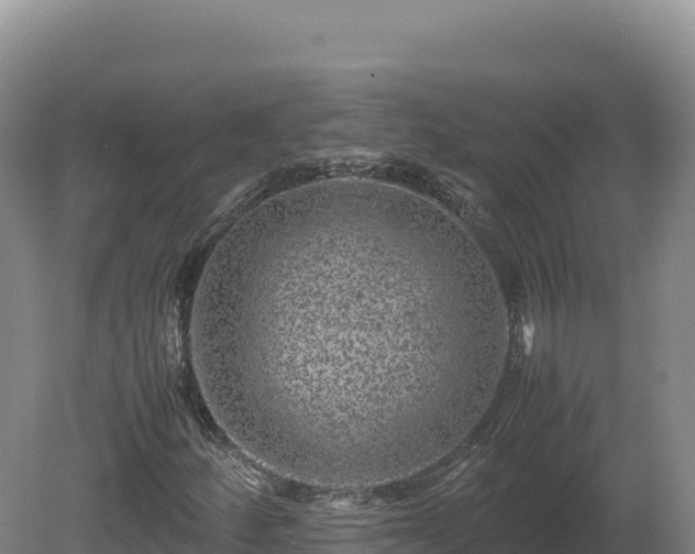 X0000081451252200701191705