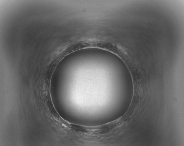 X0000081451253200701191705