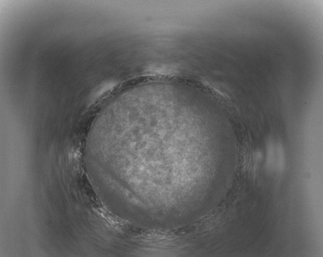 X0000081451254200701191705