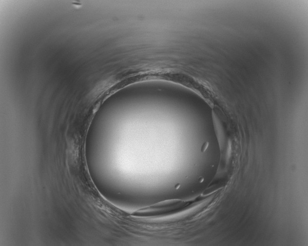 X0000081451257200701191705