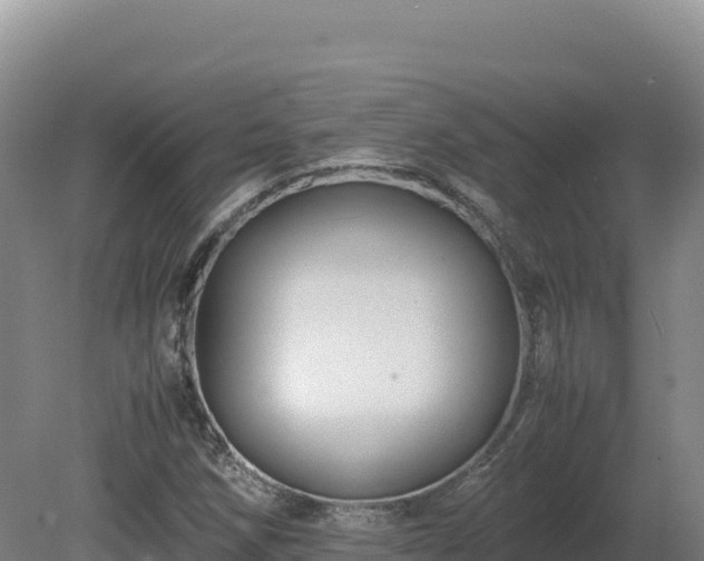 X0000081451258200701191705