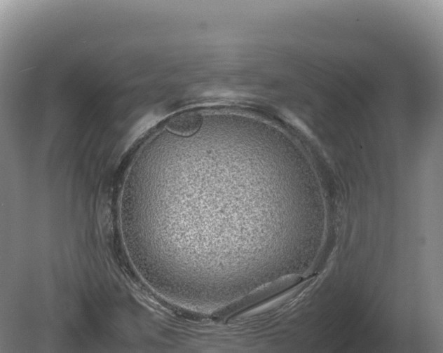 X0000081451259200701191705