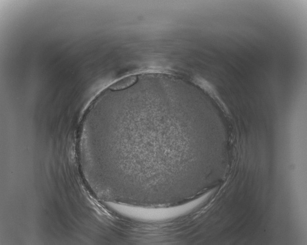 X0000081451260200701191704