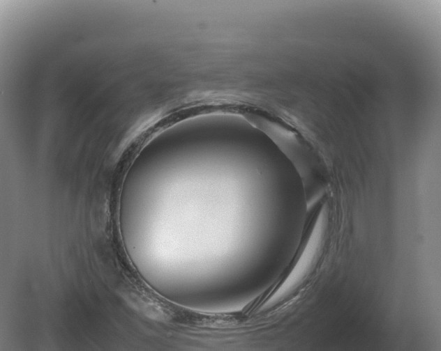 X0000081451261200701191704