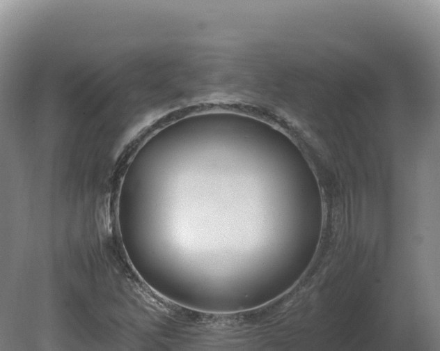 X0000081451262200701191704