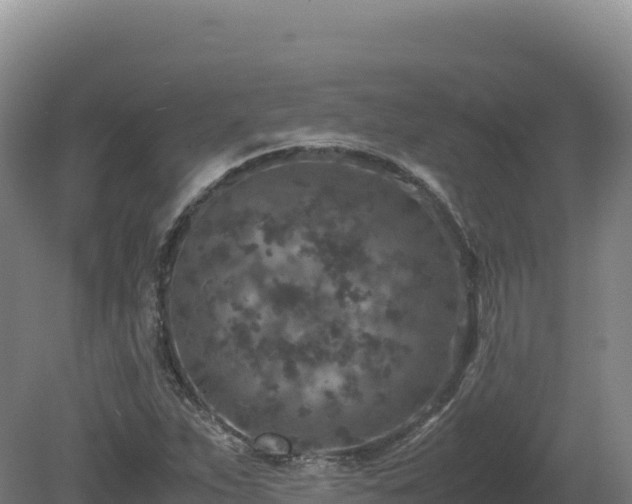 X0000081451263200701191704