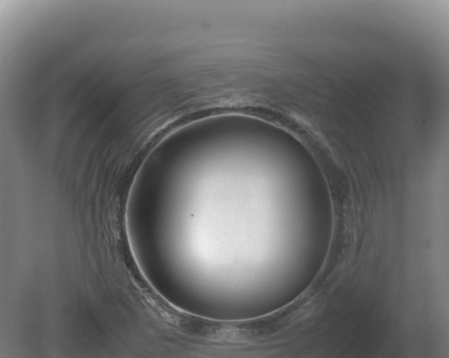 X0000081451265200701191704