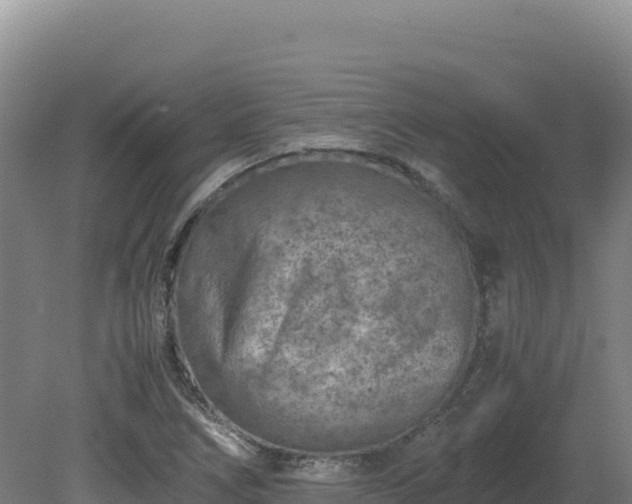 X0000081451266200701191704