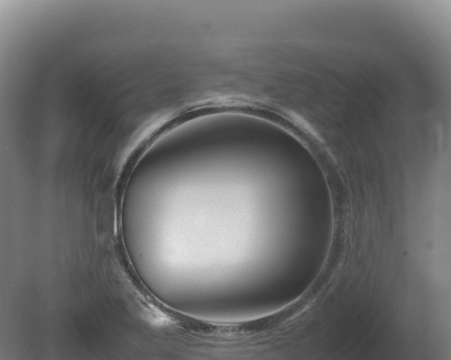 X0000081451269200701191704