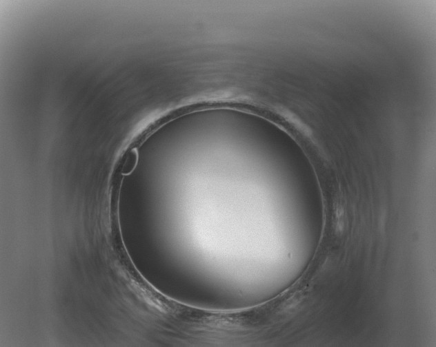 X0000081451270200701191704