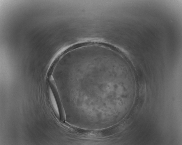 X0000081451271200701191704