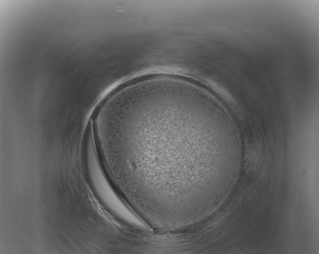 X0000081451272200701191704