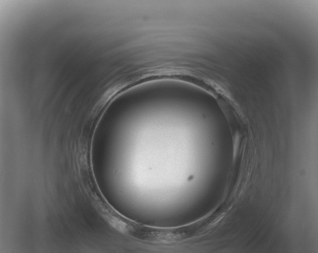 X0000081451273200701191704