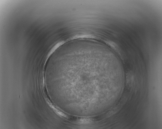 X0000081451274200701191704