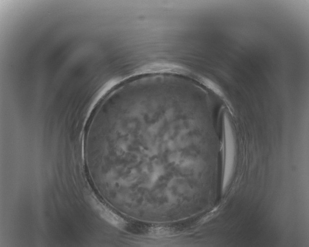 X0000081451275200701191704