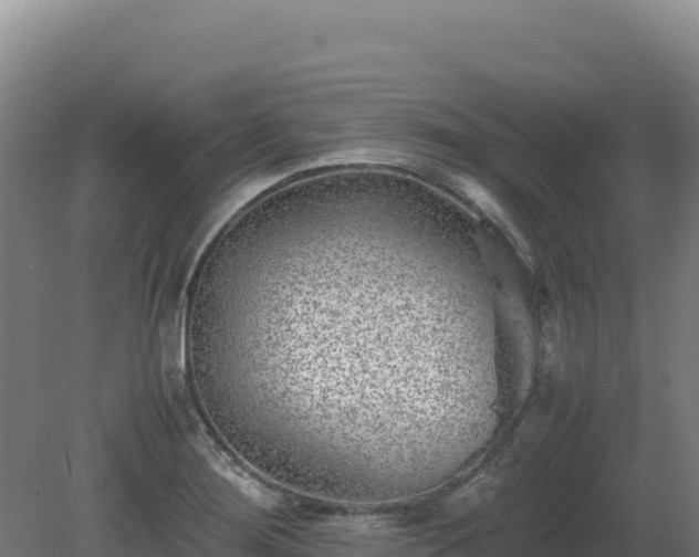 X0000081451276200701191704