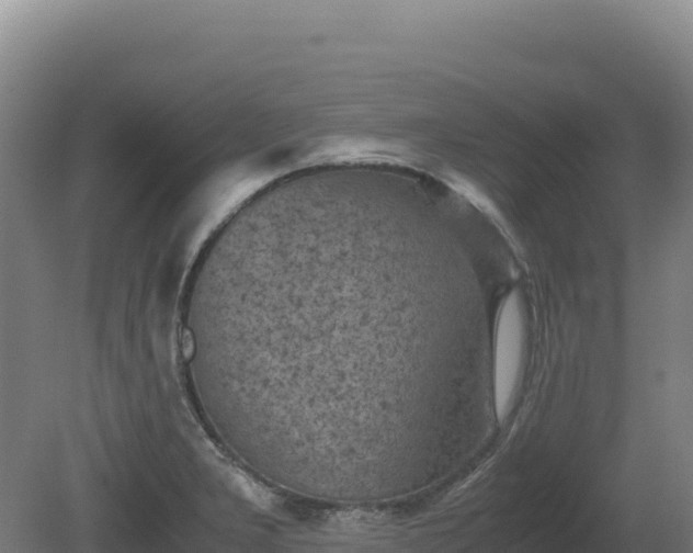 X0000081451277200701191704