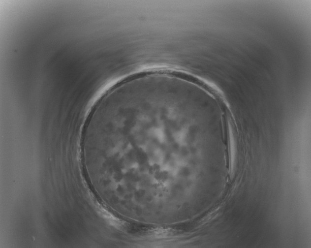 X0000081451279200701191704