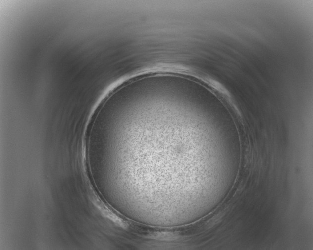 X0000081451280200701191704