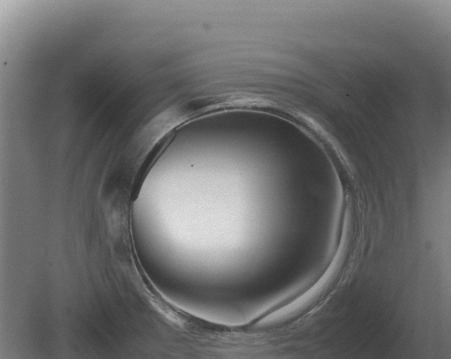 X0000081451281200701191704