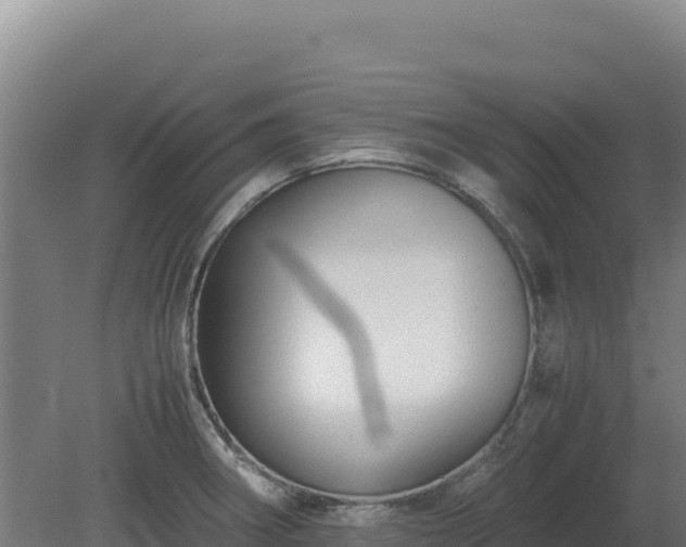 X0000081451282200701191704