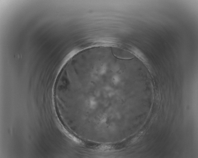 X0000081451283200701191704