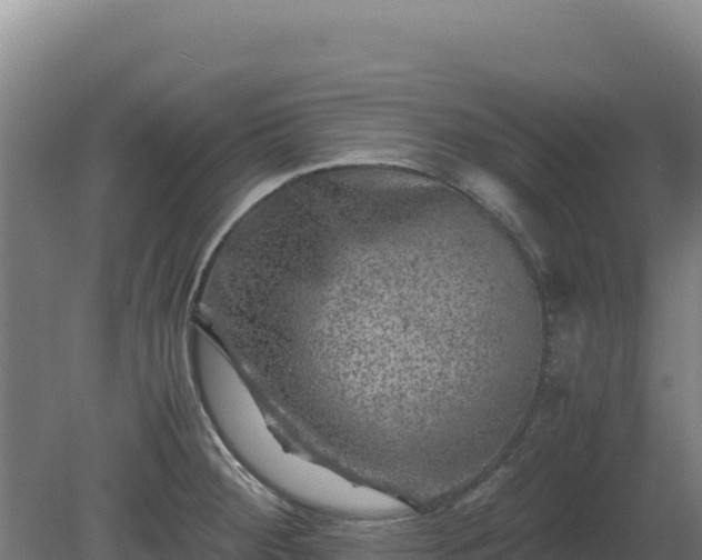 X0000081451284200701191704