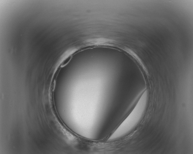 X0000081451285200701191704