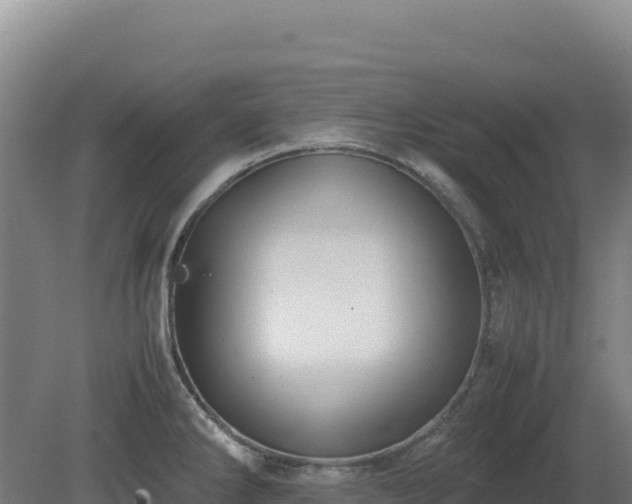 X0000081451286200701191704