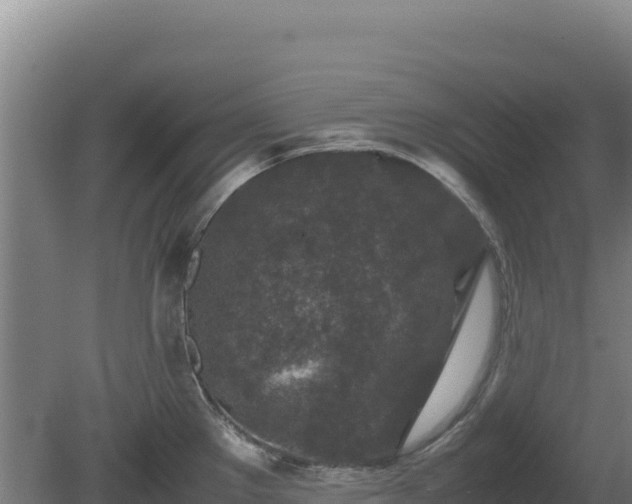 X0000081451289200701191704