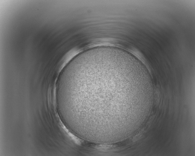 X0000081451290200701191704