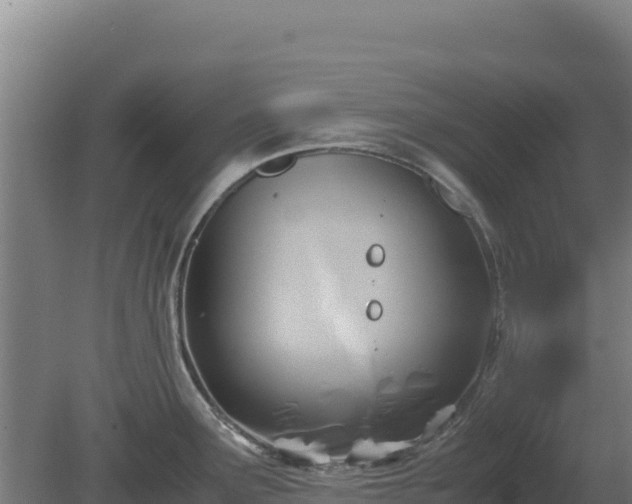 X0000081451291200701191704