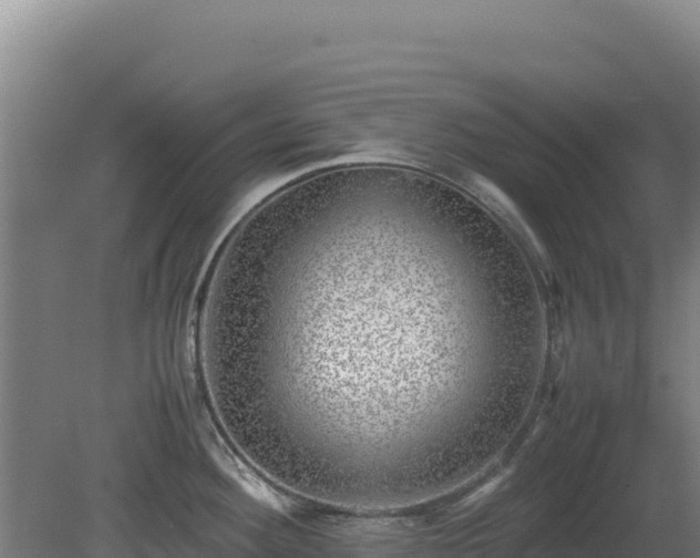 X0000081451292200701191704