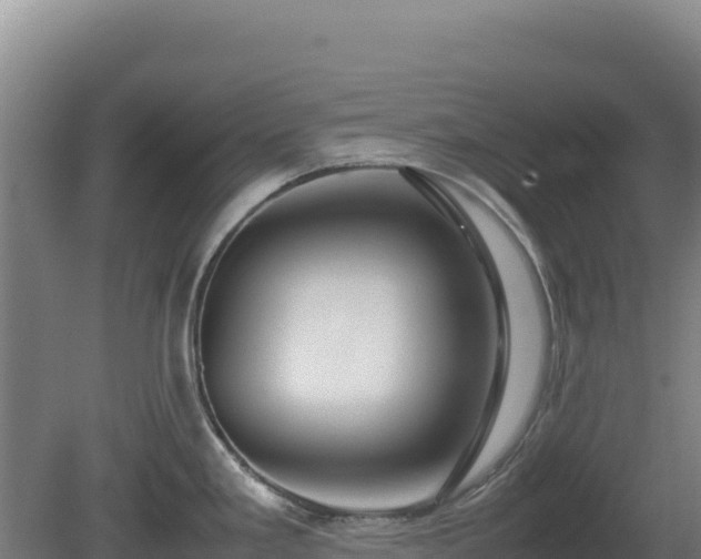 X0000081451293200701191704