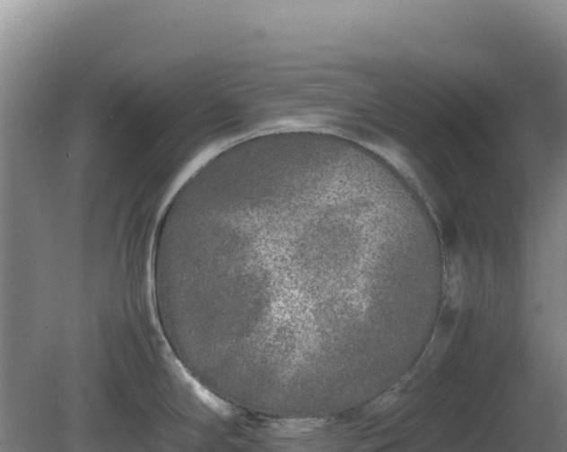 X0000081451294200701191704