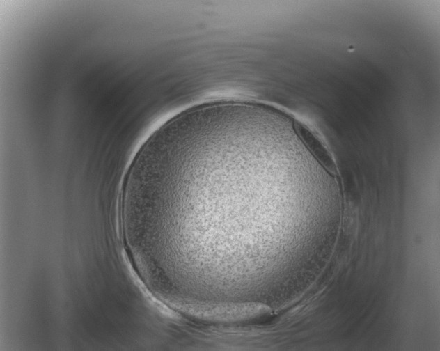 X0000081451295200701191704