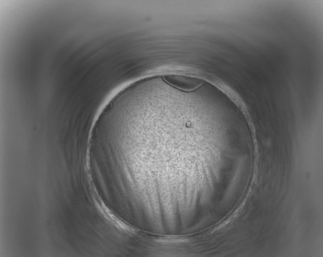 X0000081451296200701191704