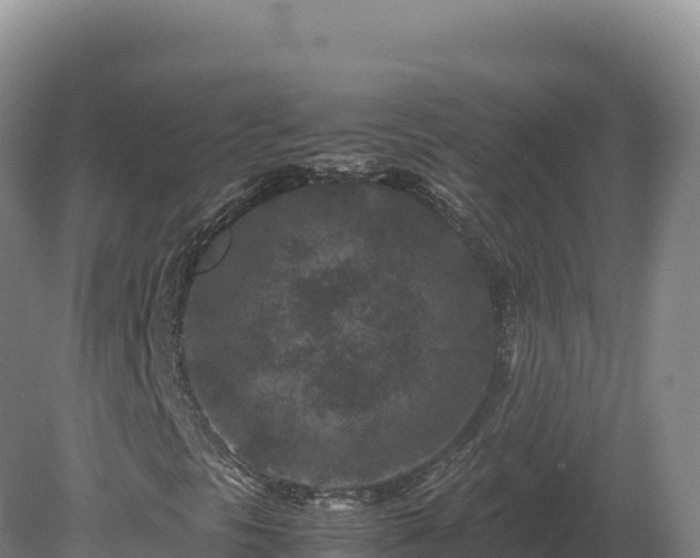 X0000081451297200701191703