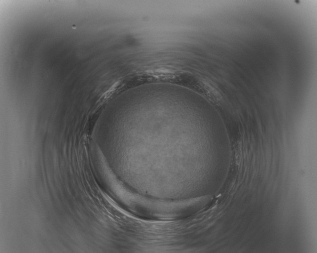 X0000081451298200701191703