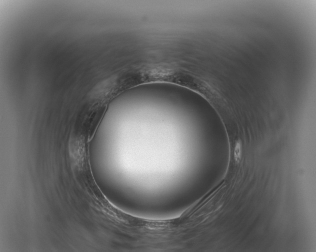 X0000081451299200701191703