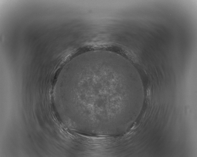 X0000081451300200701191703