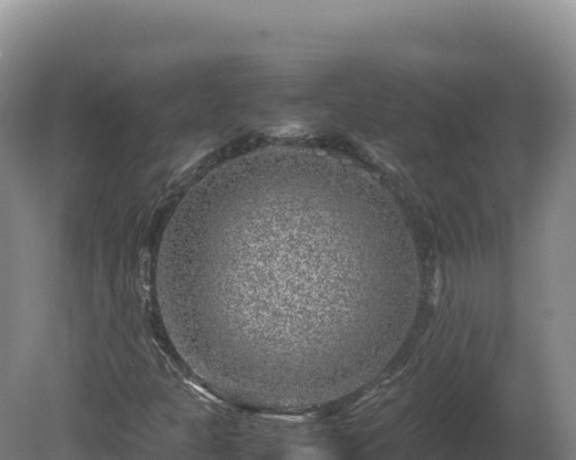 X0000081451301200701191703