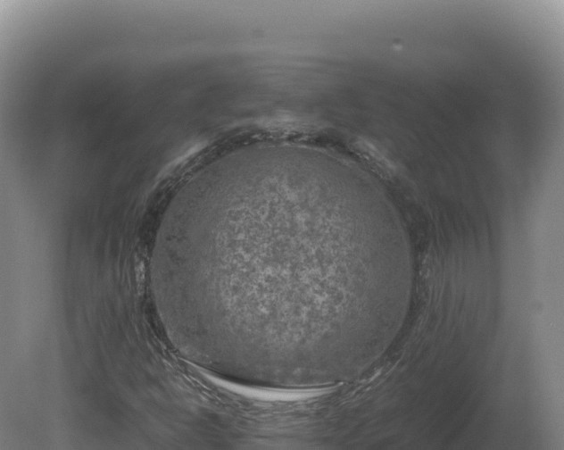 X0000081451302200701191703