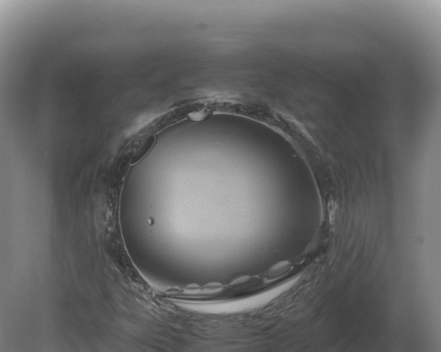 X0000081451303200701191703